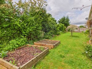 Garden- click for photo gallery